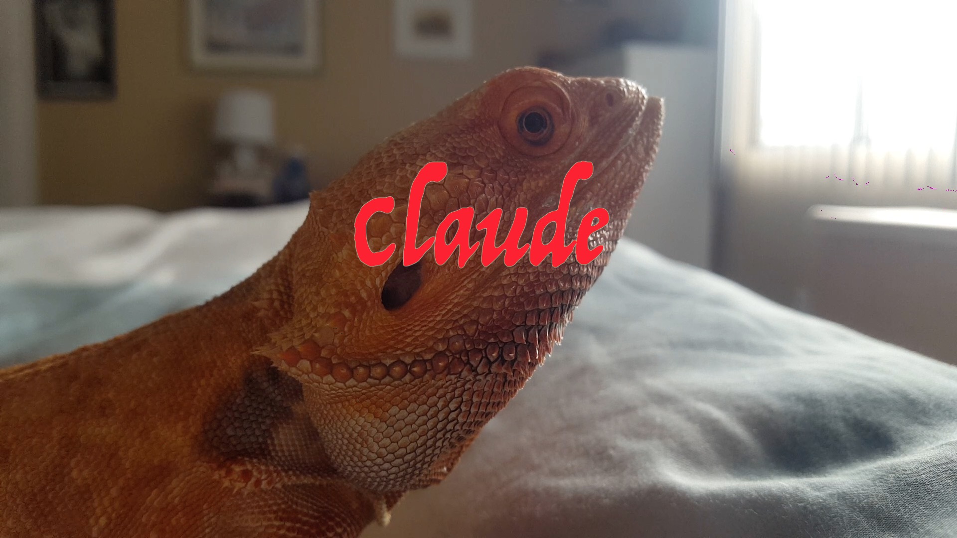 Claude (2020) постер