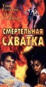 Смертельная схватка (1993) постер