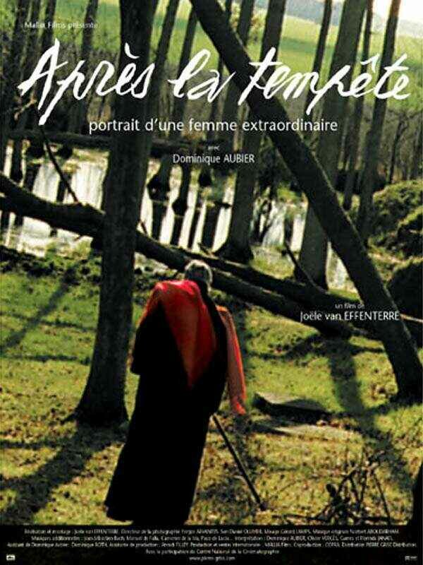 Après la tempête (2001) постер