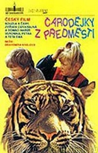 Чародейки из предместья (1990) постер