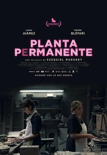 Planta permanente (2019)